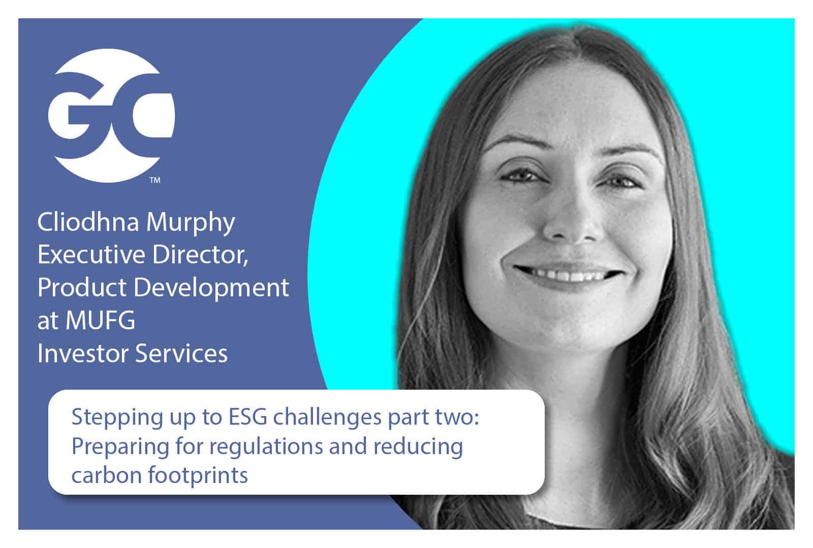 Stepping up to ESG challenges part two: Preparing for regulations and ...